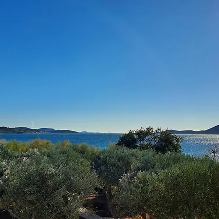 O'life Boutique فوديس