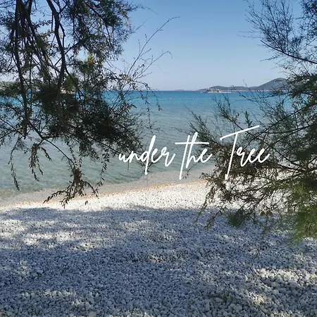 شقة فندقية O'life Boutique 4*