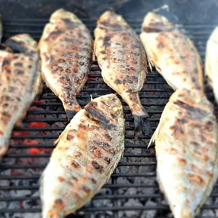 شقة فندقية O'life Boutique فوديس