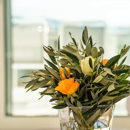 Aparthotel O'life Boutique