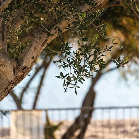 O'life Boutique 4* فوديس