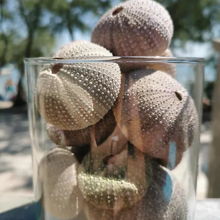 O'life Boutique شقة فندقية 4*