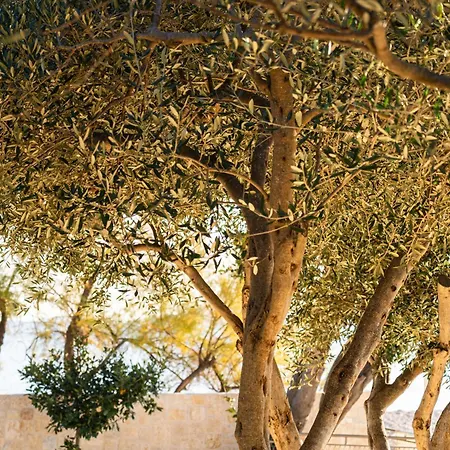 Aparthotel O'life Boutique