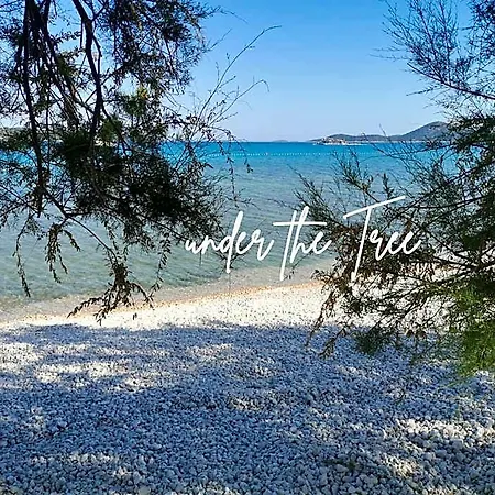 Appart hôtel O`life Boutique Vodice
