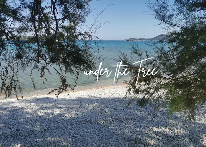 アパートホテル O'life Boutique 4*