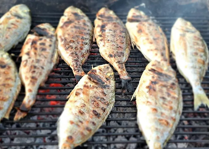 Apartahotel O'life Boutique Vodice