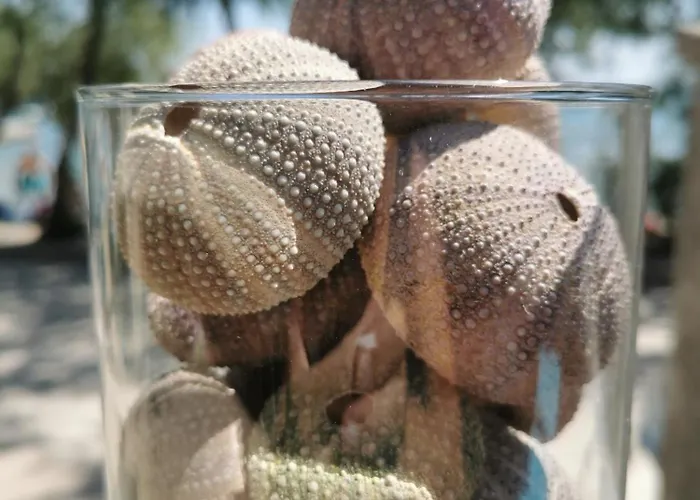 O'life Boutique Apartahotel 4*