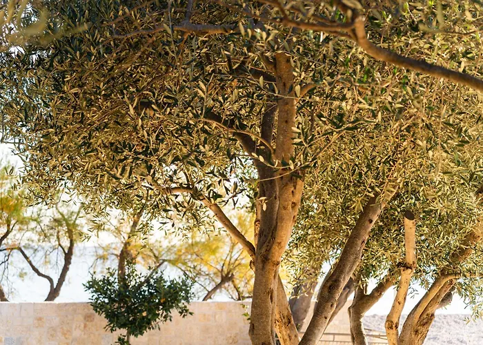 アパートホテル O'life Boutique