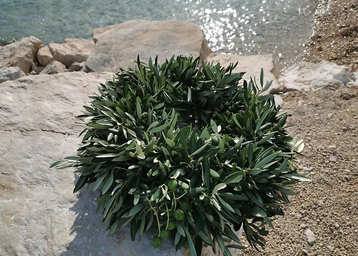 O'life Boutique Apartahotel Vodice