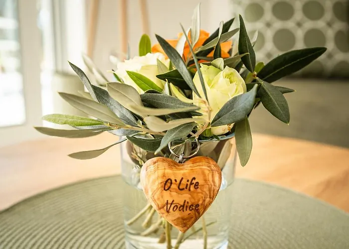 アパートホテル O'life Boutique 4*